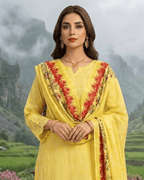 Esra 3-Piece Chickenkari Lawn by Dr. Haris (ESR-015)