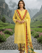 Esra 3-Piece Chickenkari Lawn by Dr. Haris (ESR-015)