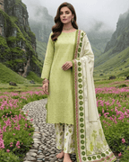 Esra 3-Piece Chickenkari Lawn by Dr. Haris (ESR-018)